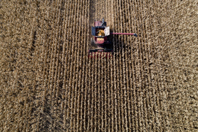 Tariffs-threaten-US-agricultural-exports-but-what-if-they-work.jpg
