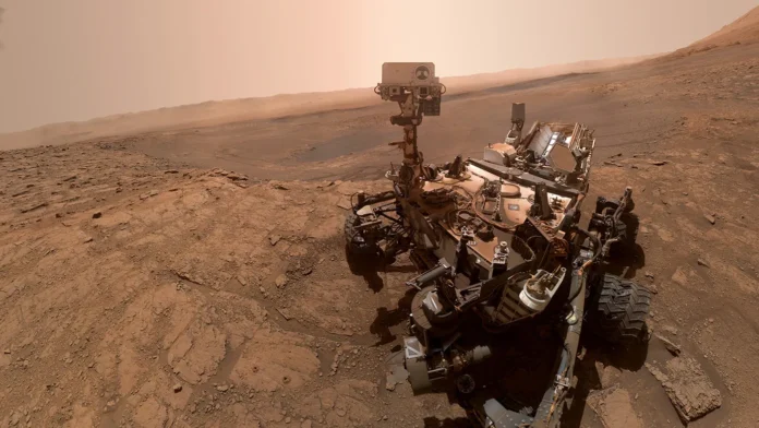 curiosity-selfie.webp.webp
