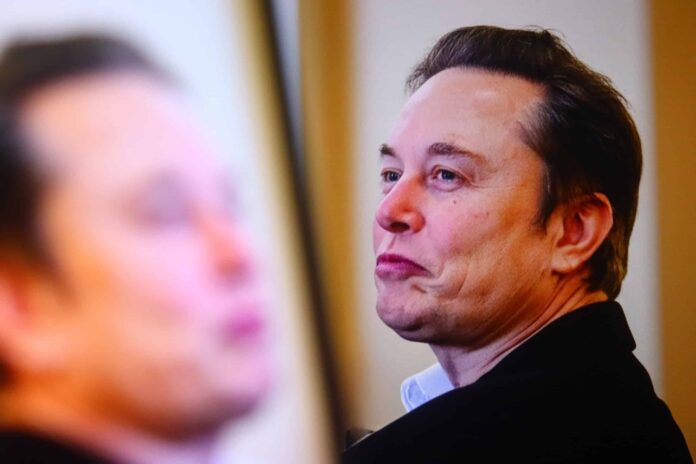 elon-musk-scaled.jpg