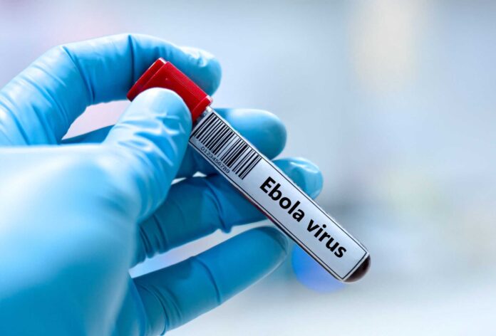 1779567029_ebola-.jpg