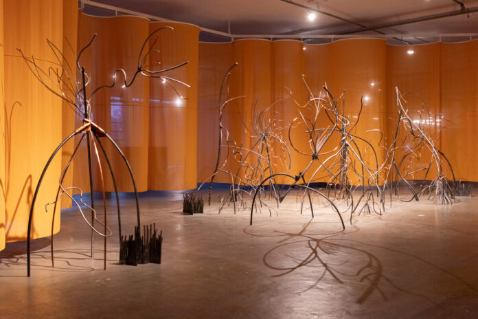 bienal-1.jpg