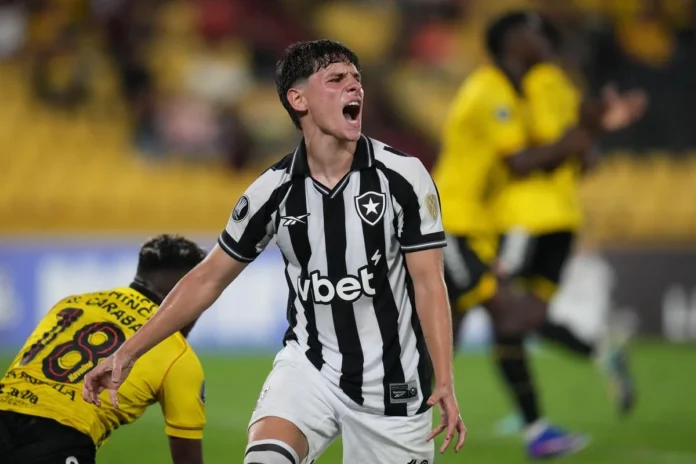 botafogo-1.webp.webp