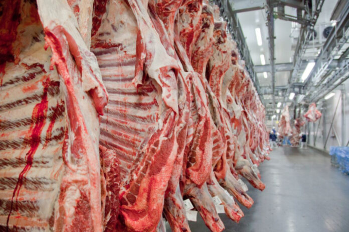 carne-in-natura-1024x683.jpg