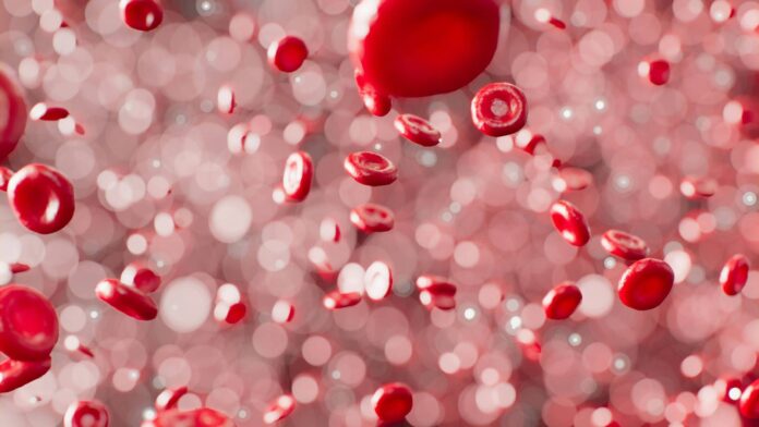 hemcias-clulas-do-sangue-sanguneas-scaled.jpg