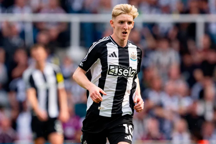 newcastle-2xw4y8f.webp.webp