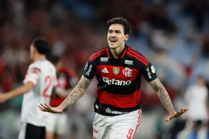 pedro-flamengo.webp.webp